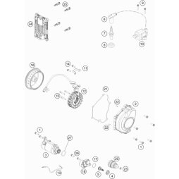 Rotor